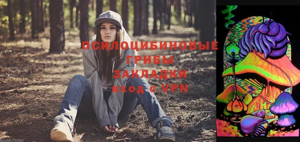 шишки Вяземский
