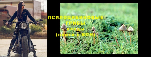 шишки Вяземский
