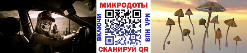Купить где Назарово Псилоцибиновые грибы Cubensis